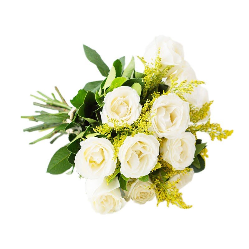 Buquê Simples com 12 Rosas Brancas